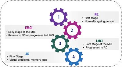 Multivariate pattern analysis of medical imaging-based Alzheimer's disease